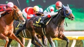 菊花賞2着馬オーソクレースがトルコで種牡馬入り、母はGI・2勝馬マリアライト
