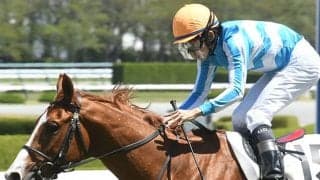 【次走】ジャックドールの半弟ディナースタはプリンシパルSへ、引き続き横山和生騎手が騎乗