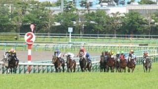 【JRA・WIN5】1番人気が3勝し的中2232票、配当24万2280円