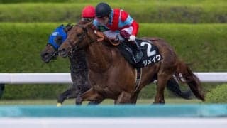 【端午S】ラニ産駒 リメイクが3連勝