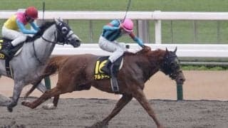 【ブリリアントS】レーン騎乗 アルドーレが人気に応える