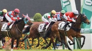 【東京6R】ディープ産駒 アオイモエが2勝目