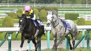 【天皇賞・春】シルヴァーソニックは人馬とも異状なし、スタート直後に川田将雅騎手が落馬