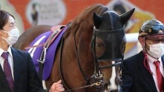 3歳マイル王決定戦・NHKマイルC　GWは重賞が目白押し/今週の競馬界の見どころ