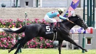 【京都新聞杯登録馬】ブラックブロッサムなど16頭