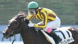 【先週のJRA抹消馬】重賞4勝マスターフェンサー、重賞2勝サトノアーサー、ダイワスカーレットの仔アンブレラデートなど