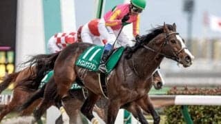 【船橋・かしわ記念枠順確定】テイエムサウスダンは3枠3番、ショウナンナデシコは1枠1番