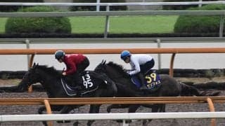 【NHKマイルC想定騎手】セリフォスは福永祐一騎手、ダノンスコーピオンは川田将雅騎手