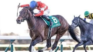 【新潟大賞典想定騎手】ステラリアは川須栄彦騎手、レッドガランは岩田康誠騎手