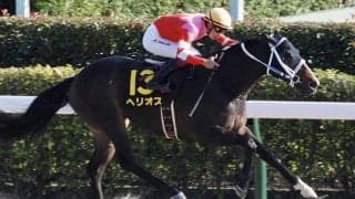 【かきつばた記念】武豊 ヘリオスは大外へ