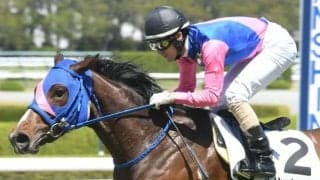 【京都新聞杯展望】ダービーに向けた重要レース、あの馬に期待したい