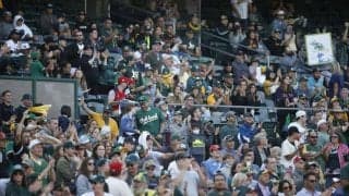 【MLB】女性がまさかの水浸し「踏んだり蹴ったり」　“大失策”が招いた悲劇が「アート」