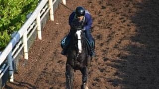 ディオファントスなど、先週の入厩情報/栗東トレセンニュース