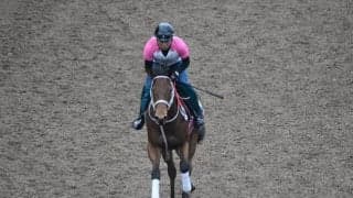 ロードフォーステルなど、先週のゲート試験/栗東トレセンニュース