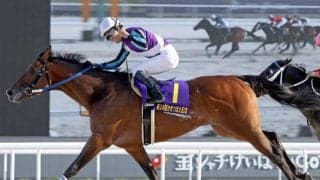 【名古屋・かきつばた記念結果】兵庫のイグナイターが抜け出してダートグレード連勝