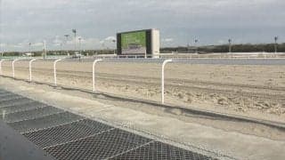 【かきつばた記念】イグナイターが交流重賞連勝！武豊ヘリオスは2着