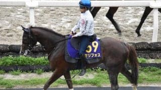 【NHKマイルC予想オッズ】セリフォスが予想1番人気