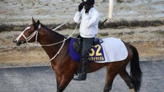 【新潟大賞典予想オッズ】アドマイヤハダルが予想1番人気