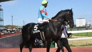 【京都新聞杯予想オッズ】ブラックブロッサムが予想1番人気