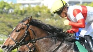 【NHKマイルカップ】ダノンスコーピオン川田騎手と大一番へ 母はカナダの年度代表馬