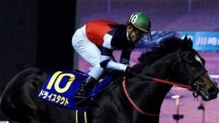 【兵庫CS】ドライスタウトは大外へ