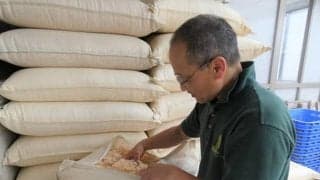 サラブレッドが落ち着く環境づくりとは 「馬は〇〇を見るとリラックスするんです」