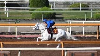 ソダシ、ヴィクトリアM1週前追い切り速報/栗東トレセンニュース