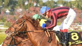 【次走】ラーゴムは帝王賞かプロキオンSへ 吾妻小富士Sでダート初勝利