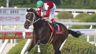 【園田・兵庫CS結果】ブリッツファングが8馬身差圧勝で重賞初V　2歳王者ドライスタウトは4着