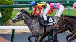 【次走】無傷3連勝中のデリカダは関東オークスへ