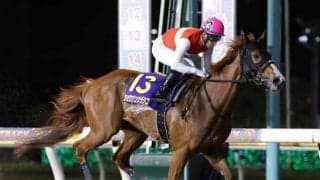 【かしわ記念前日オッズ】ショウナンナデシコが2.5倍の1番人気