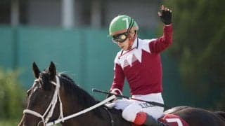 【兵庫CS】池添謙「直線で勝ちを確信」ブリッツファングが8馬身差圧勝