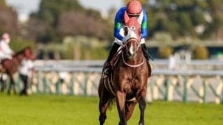 【NHKマイルC予想】波乱含みの一戦でAIが指名したのは中穴人気の伏兵!?