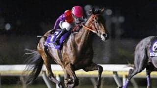 【船橋・東京湾C結果】川崎のタツノエクスプレスがゴール前で抜け出し勝利