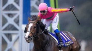 【かしわ記念】テイエムサウスダンは3枠3番