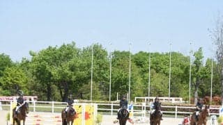 【馬術部】春学２日目、関関戦完敗で悔しさ残る