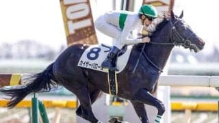 【新潟大賞典展望】順当には決まらないハンデ戦、上がり馬でも通用する