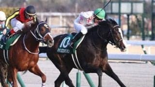 NHKマイルＣでは外せないダイワメジャー産駒。より有力なのは「キー血統」を持つ１頭