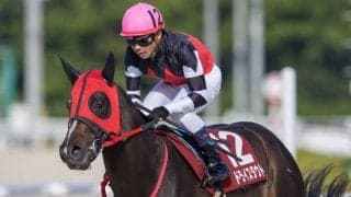 【兵庫CS】戸崎「スタートで躓いた」レース後ジョッキーコメント