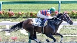 【次走】ジュタロウはユニコーンSを視野に 父はドバイWC・BCクラシック覇者アロゲート