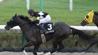 プリティーチャンスは1戦挟んでブリーダーズゴールドCへ