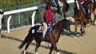 【NHKマイルC 調教後馬体重】セリフォスは492kg、ダノンスコーピオンは466kg