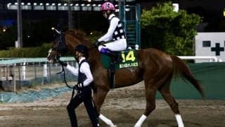 【かしわ記念】武豊「良い時の走りではない」古豪インティは7着