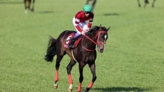 武豊騎手 今週の騎乗馬