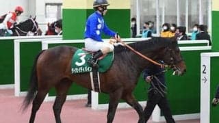 NHKマイルＣは高額配当確率70％。過去の激走パターンから浮上する６頭の逆襲候補