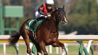 【NHKマイルC枠順確定】セリフォスは2枠4番、ダノンスコーピオンは大外8枠18番