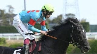 【京都新聞杯枠順確定】ブラックブロッサムは7枠10番、ポッドボレットは8枠12番