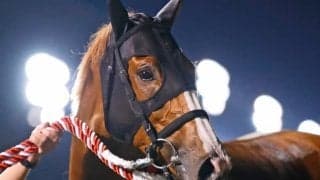 【かしわ記念】船橋競馬1日の売上レコード樹立！売上は44.2億円、昨年の記録を2.6億円更新