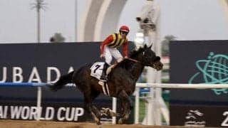 【ケンタッキーダービー】日本馬の近況（5月5日）