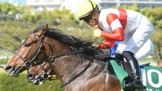 【NHKマイルC】ダノンスコーピオンが入った大外18番、東京マイル＆NHKマイルCでの成績は…